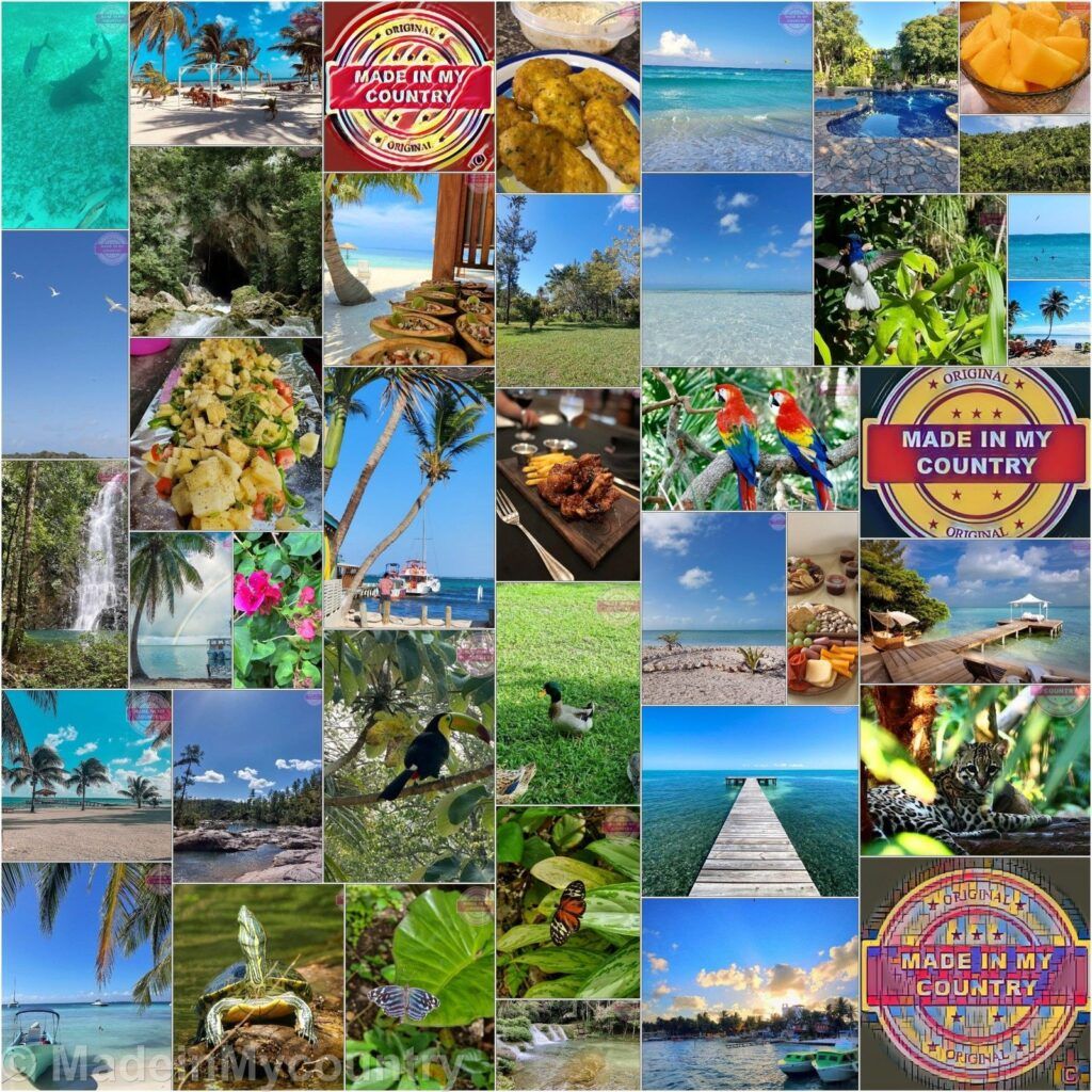MadeinMycountry Miami (LAT): MadeinMycountry es una plataforma global que celebra y apoya la historia local, la cultura, el arte y los esfuerzos de conservación de la naturaleza. Durante dos décadas, hemos patrocinado museos locales, organizaciones culturales, destinos turísticos, sitios históricos y diversos eventos culturales en todo el mundo.